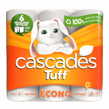 Cascades Econo paper towel