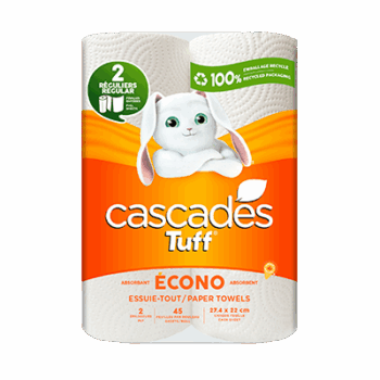 Papier essuie-tout Cascades Econo