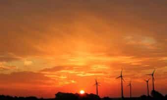 Coucher de soleil sur un champ d’éoliennes, symbolisant l’énergie renouvelable et la transition écologique.