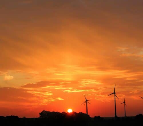 Coucher de soleil sur un champ d’éoliennes, symbolisant l’énergie renouvelable et la transition écologique.